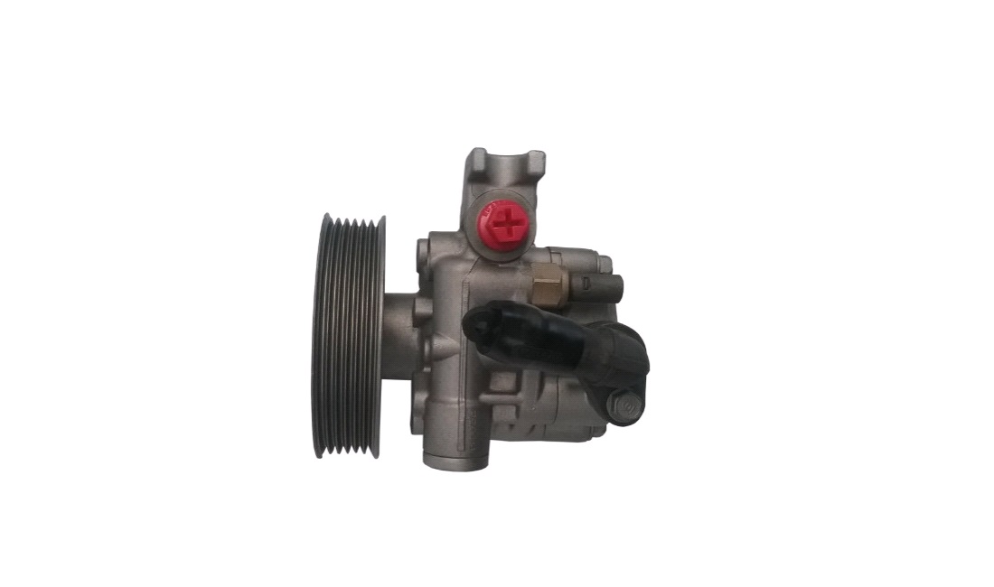 Servopumpe
