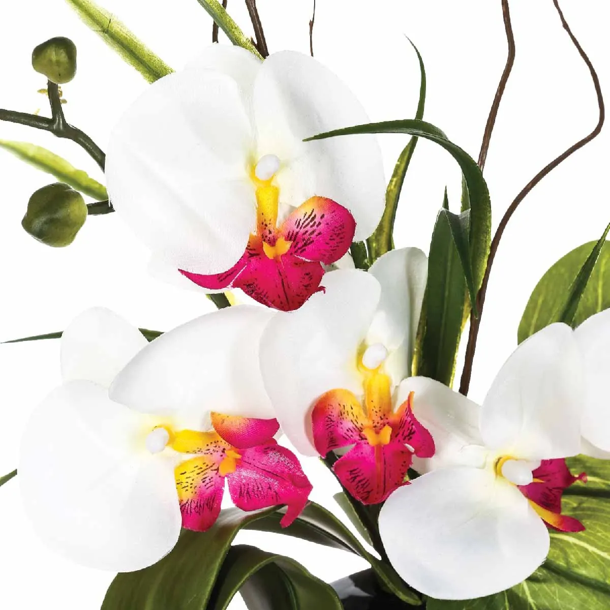 Atmosphera, Createur D'Interieur Atmosphera Composition Florale Orchidée