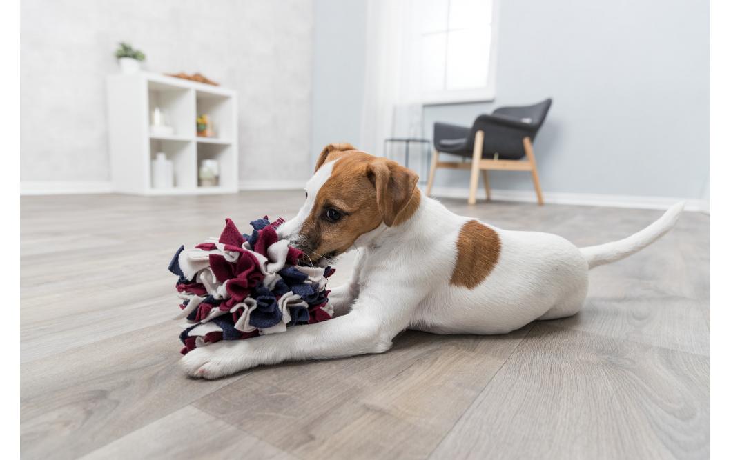 Strategie-Spiel Schnüffelball, ø 15 cmSchnüffelball für Hunde