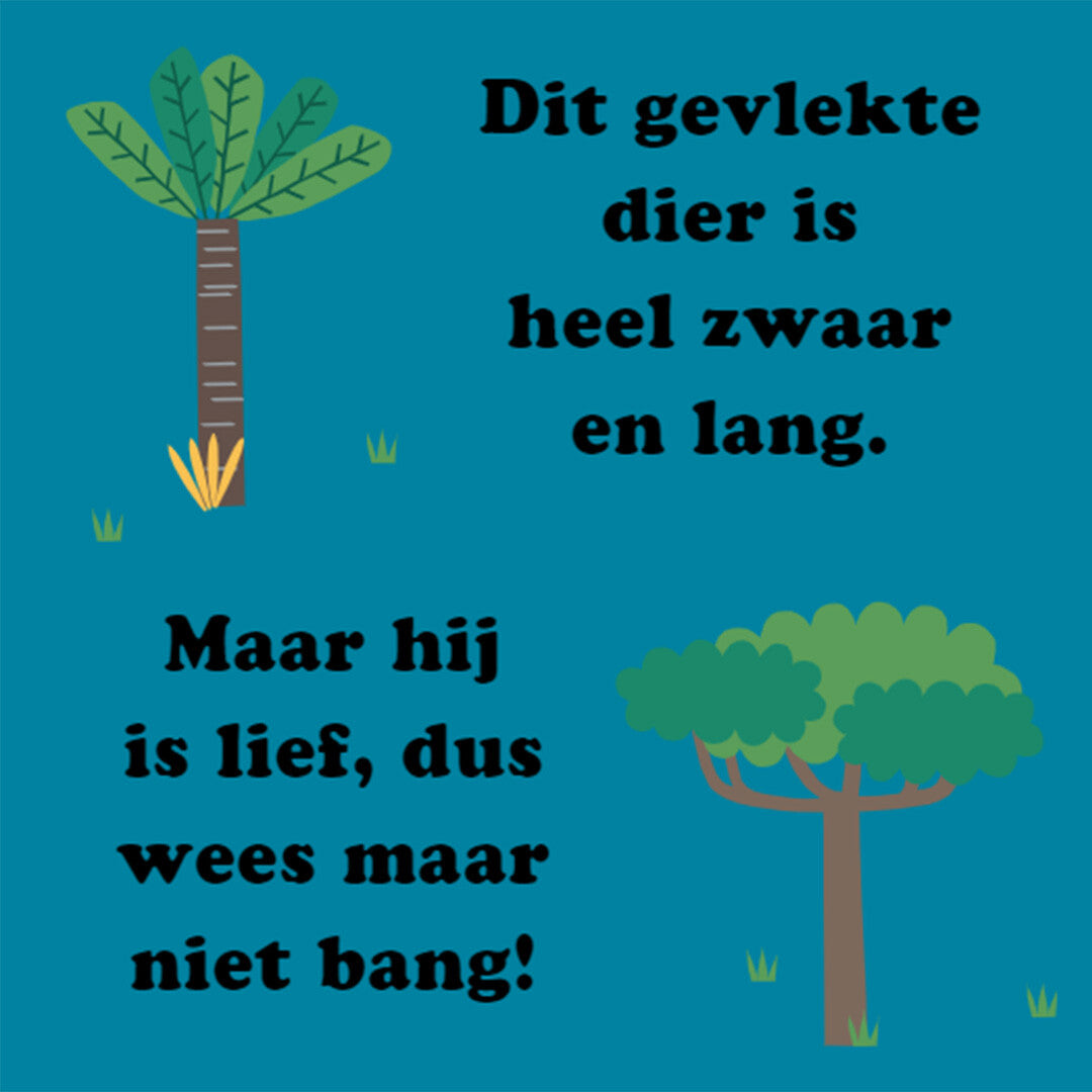 Uitgeverij rebo flapjesboek zoek en vind - jungle