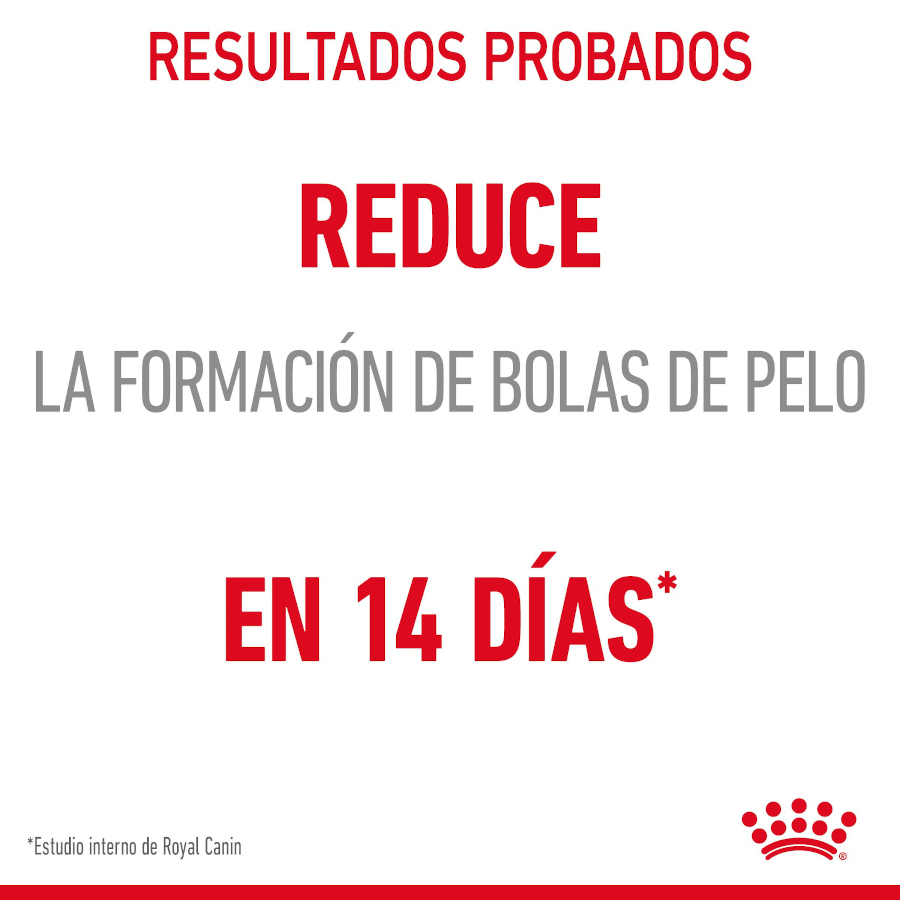 Sachê de gel Royal Canin Hairball Care para gatos