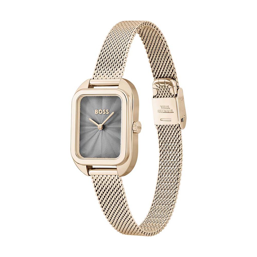 Montre Boss balley Gris