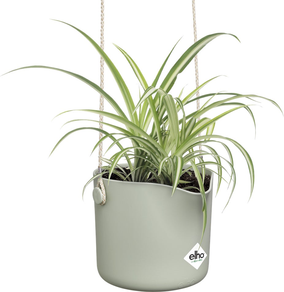 Elho hangpot B.for Swing lichtgroen 20,5 x 20 x 16,5 cm