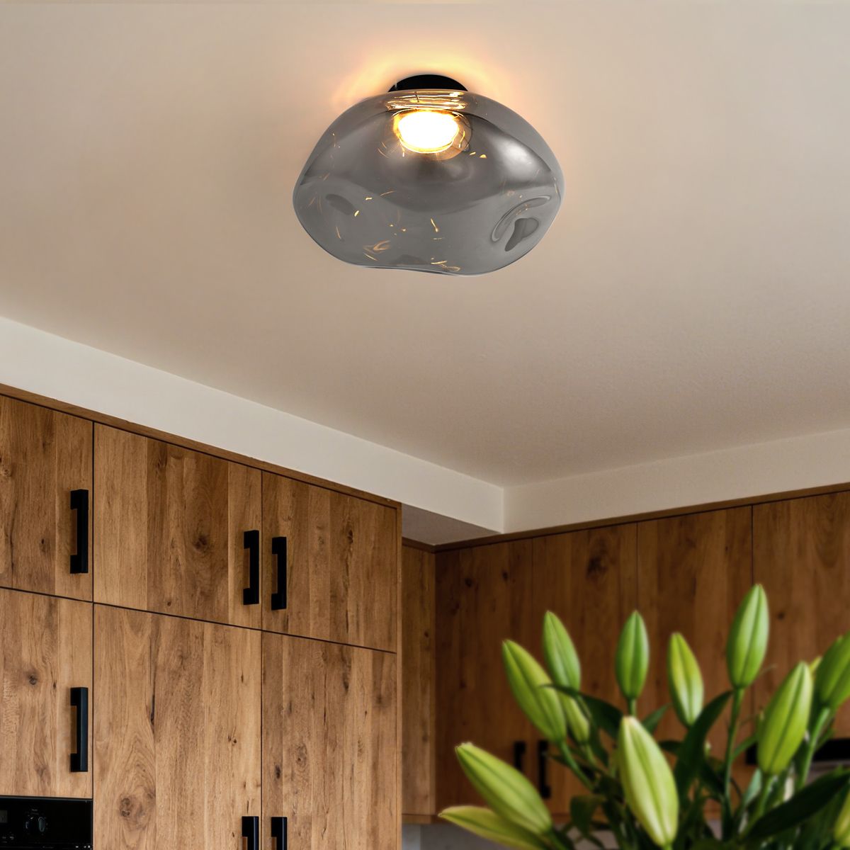 Design plafondlamp zwart met smoke glas - Gemma