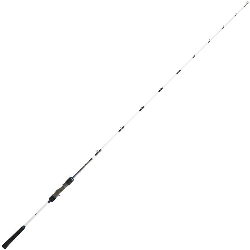 Canne Casting Daiwa Saltist Off Shore Slow Jigging