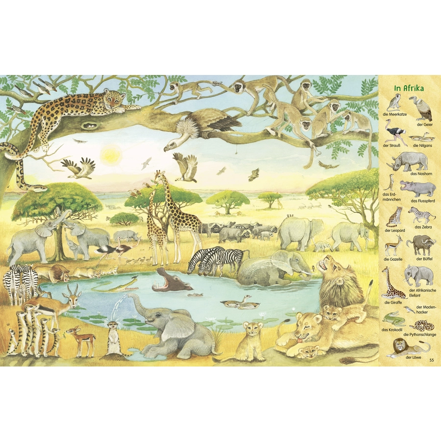 Thienemann-Esslinger Das 1000 Tiere-Wimmelbuch