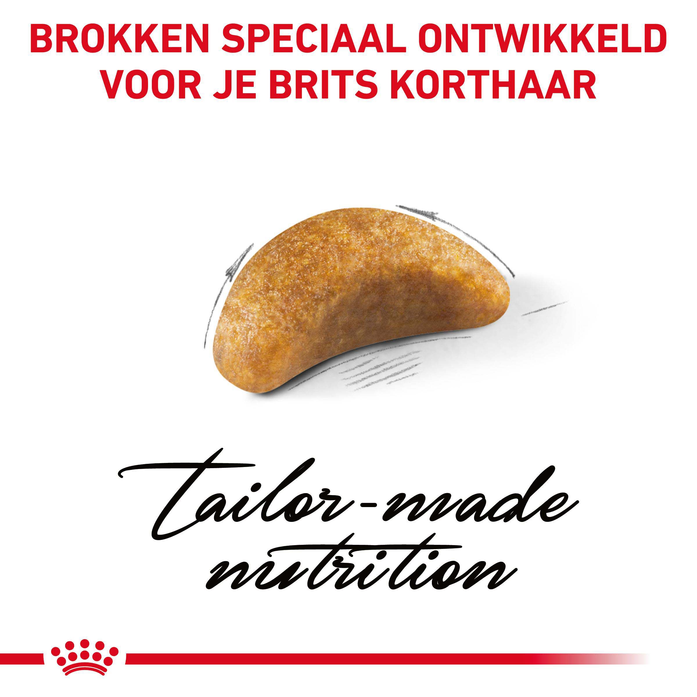 Royal Canin Britse Korthaar Kitten - Kattenvoer - 0.4 Kilogram - Gevogelte
