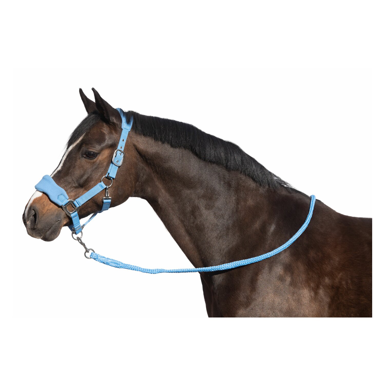 Horse-friends Halfter-Set Rouen  - babyblue