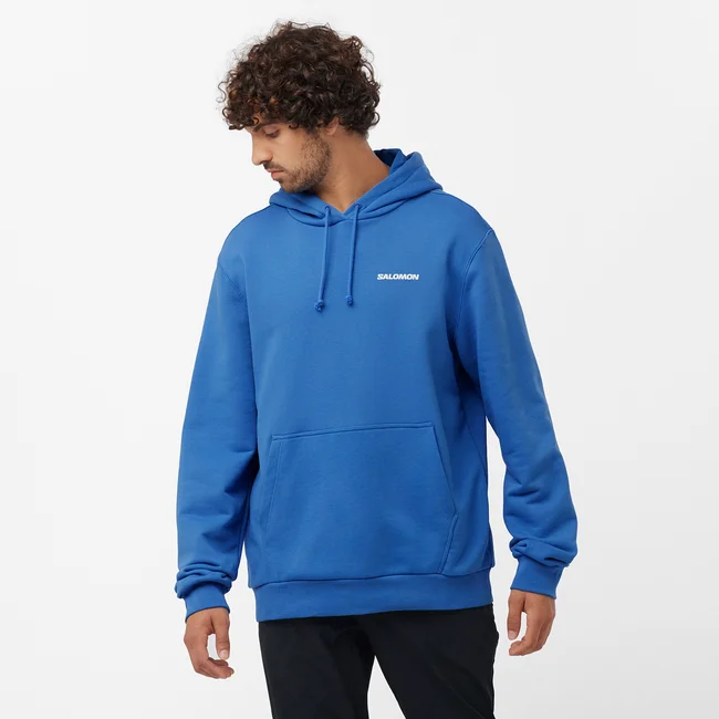 SALOMON WINDOW GRAPHIC  Kapuzensweatshirt Herren