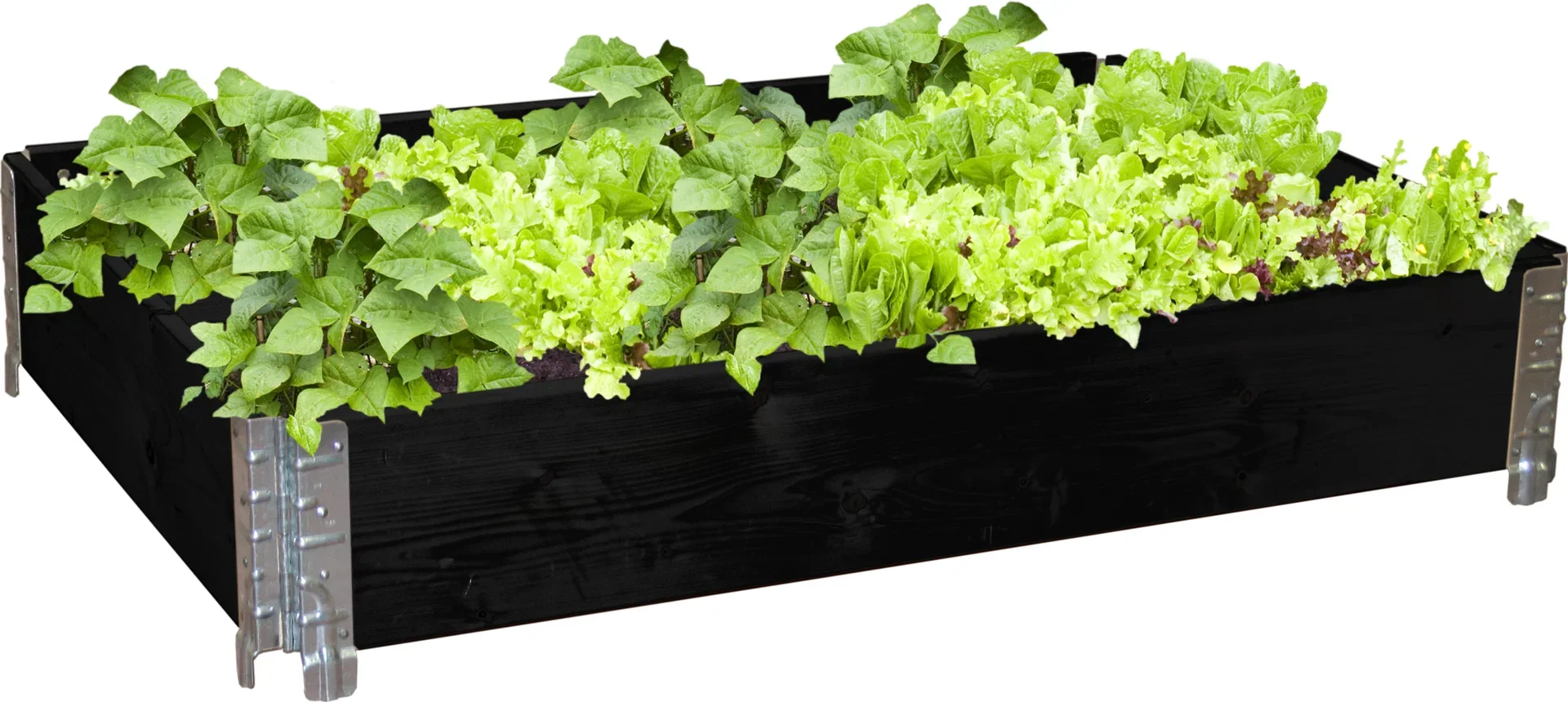 Pallekarm Lengde 80 cm