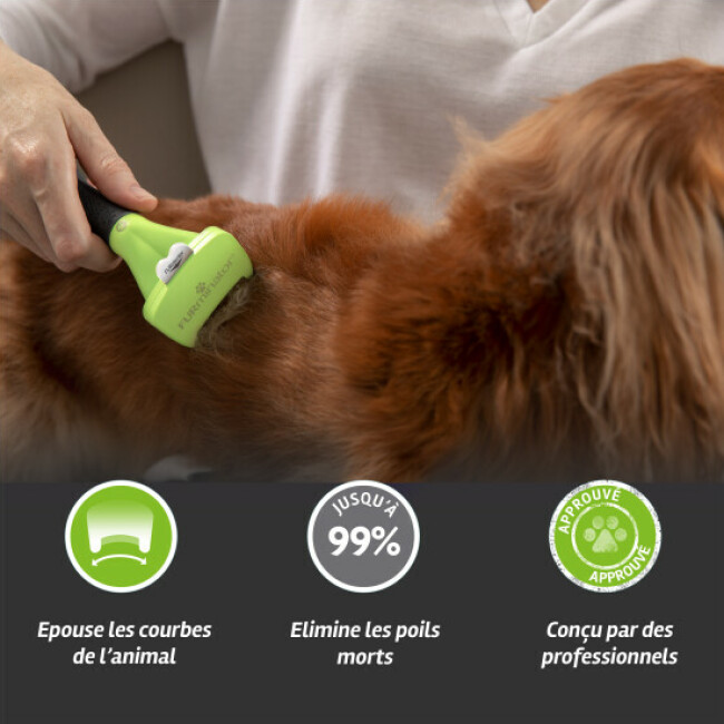 Brosse FURminator pour chien à poils courts