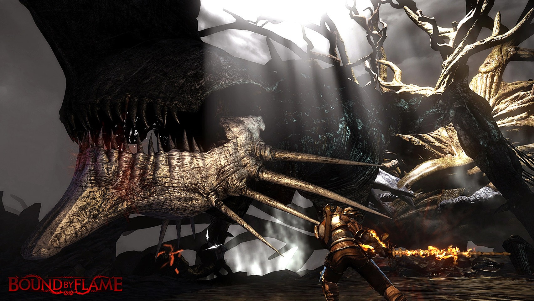 Bound by Flame- PC