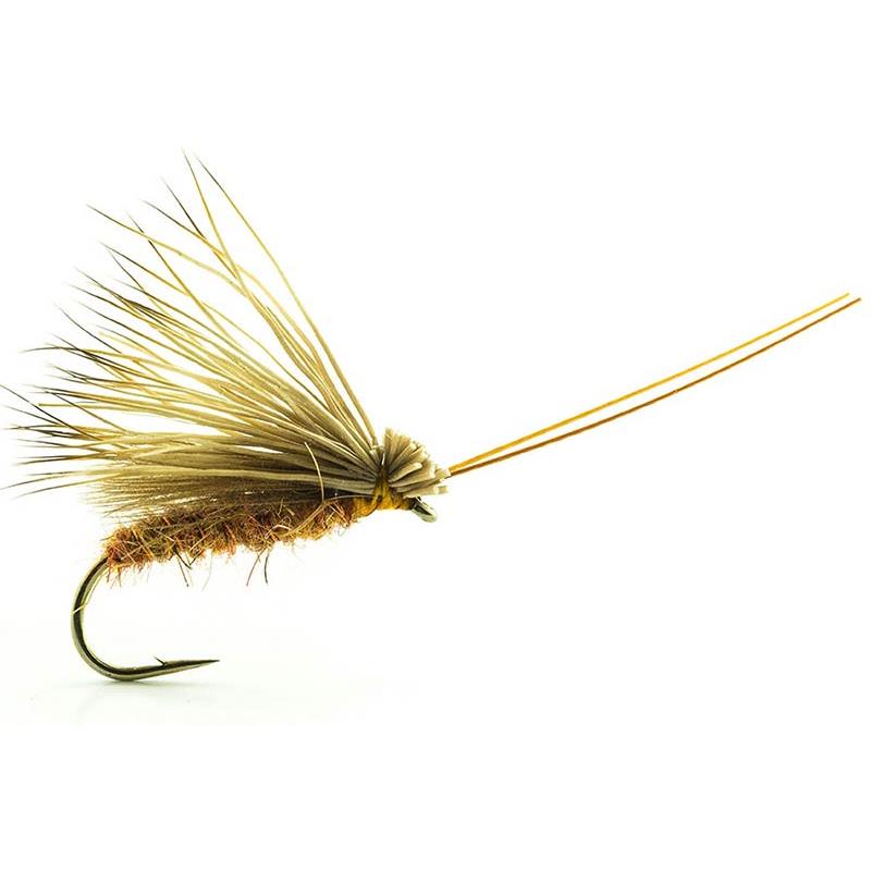 Mouche Devaux Sedge Tricoptheres Elk Cdc 02 Bl