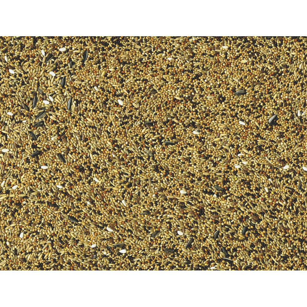 Graines volière pour oiseaux 4kg