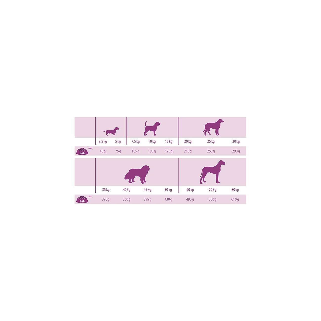 MultiFit Trockenfutter Hund Senior Huhn und Reis 2x12 kg