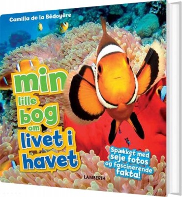 Min Lille Bog Om Livet I Havet - Camilla De La Bédoyére - Bog