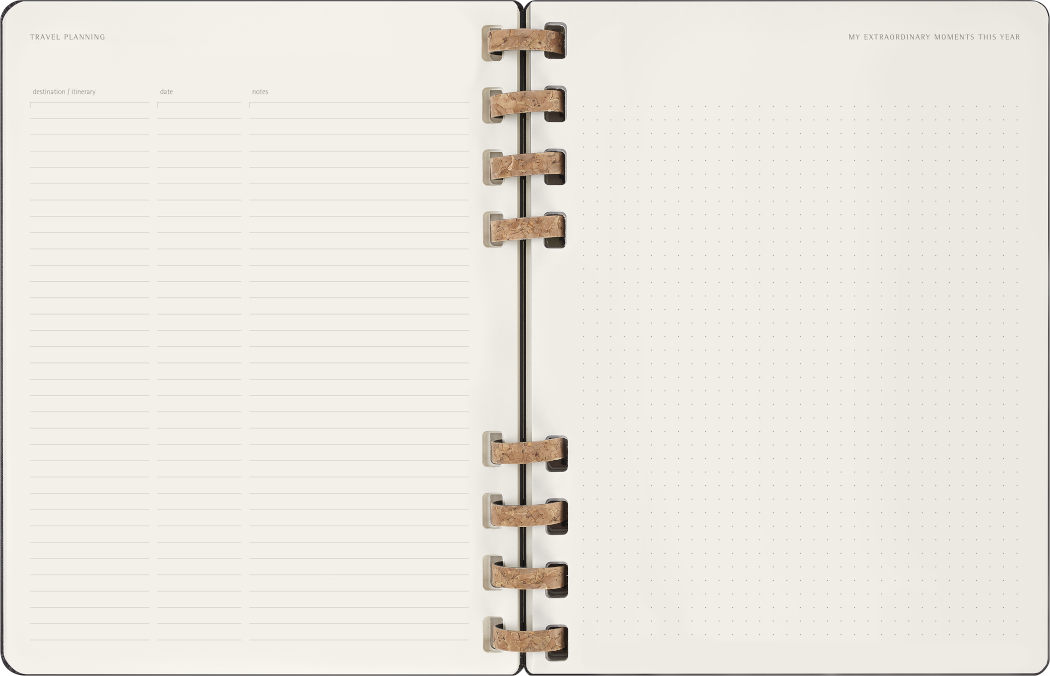 Life Planner 2025 XL 12-Month, Spiral