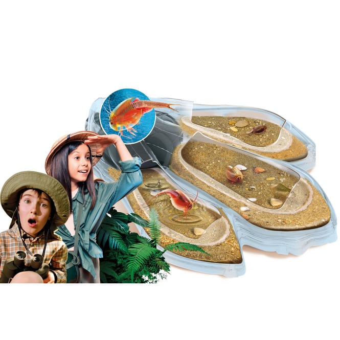 Galileo - Original Triops - Maxi Deluxe