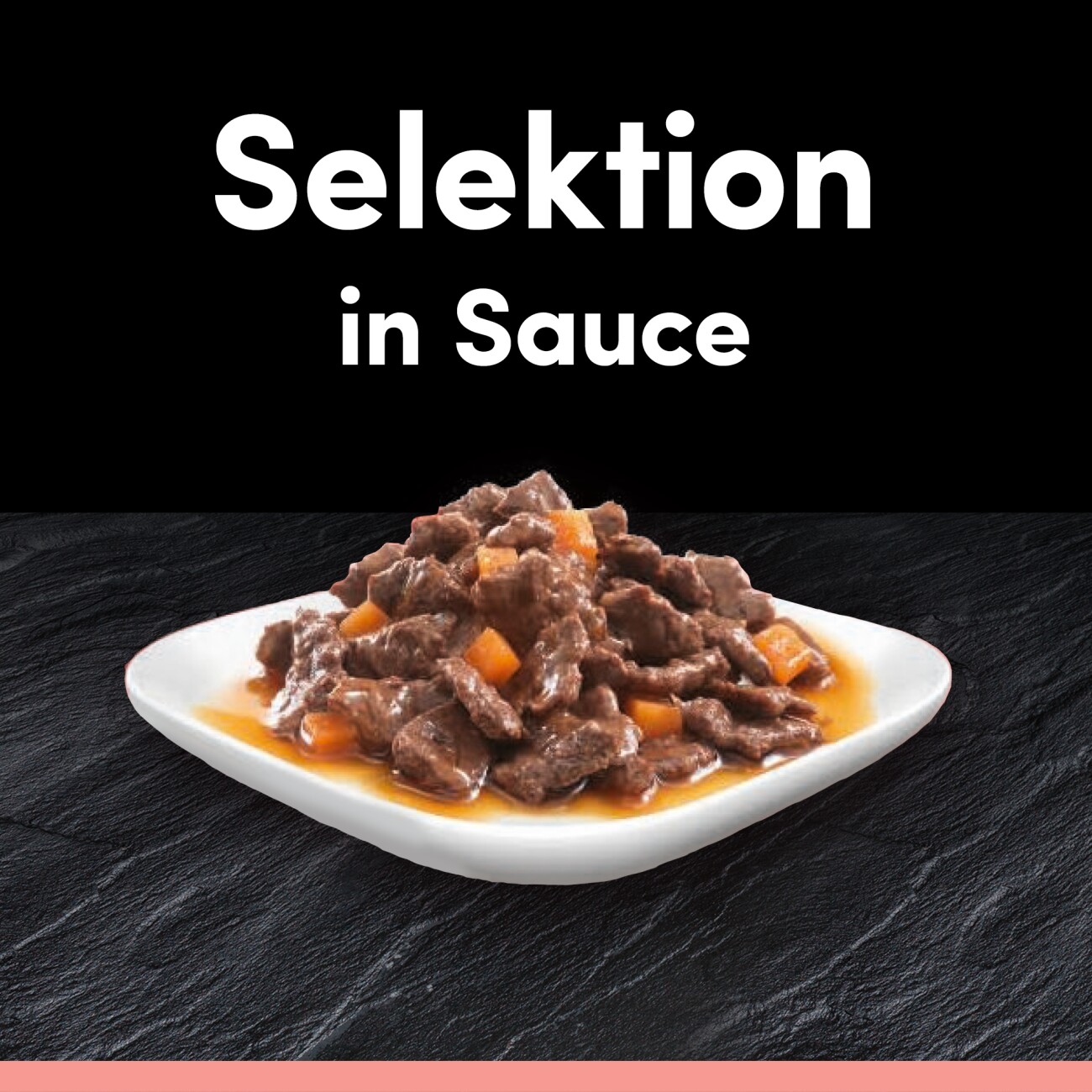 Cesar Mega Pack Portionsbeutel Selektion in Sauce 4 Varietäten 40x100g