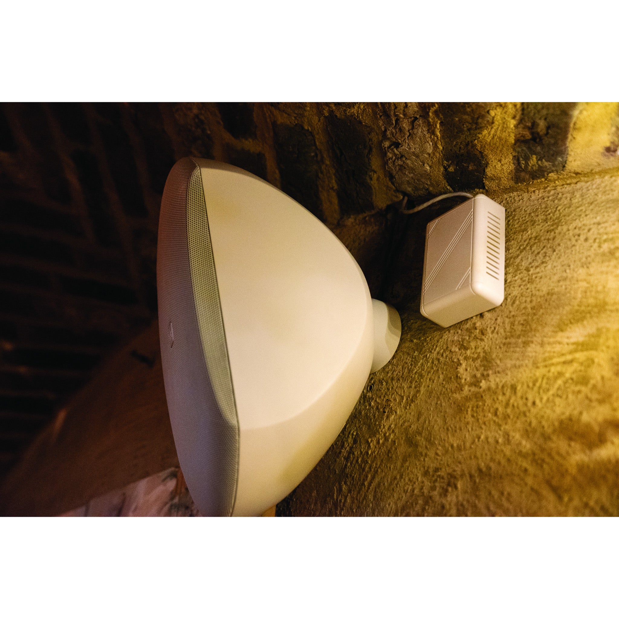 DAP WMS8-W passieve 8 inch muurspeaker, wit