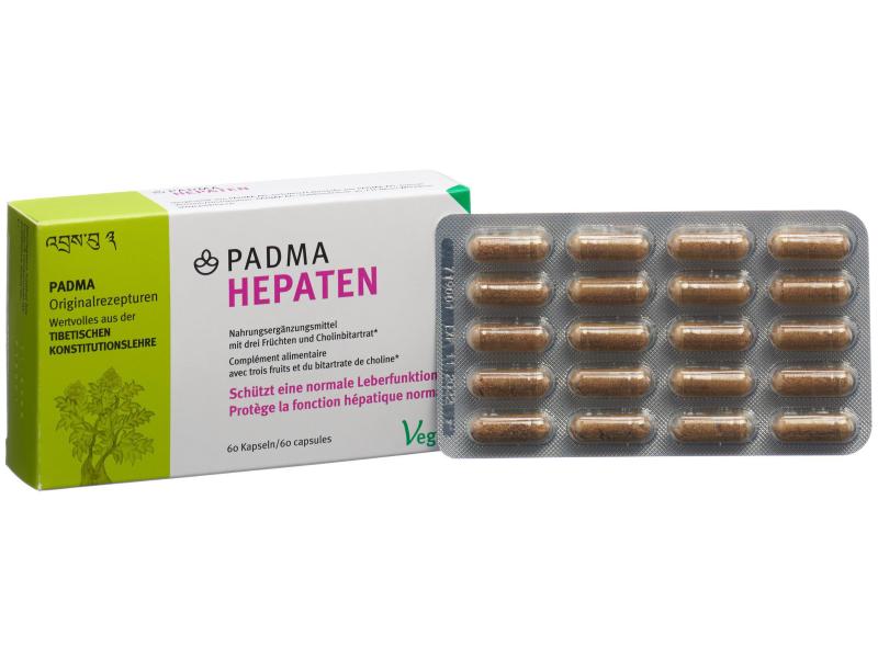 PADMA Hepaten 60 Kapseln Vegane Nahrungsergänzung zur Unterstützt die Leberfunktion