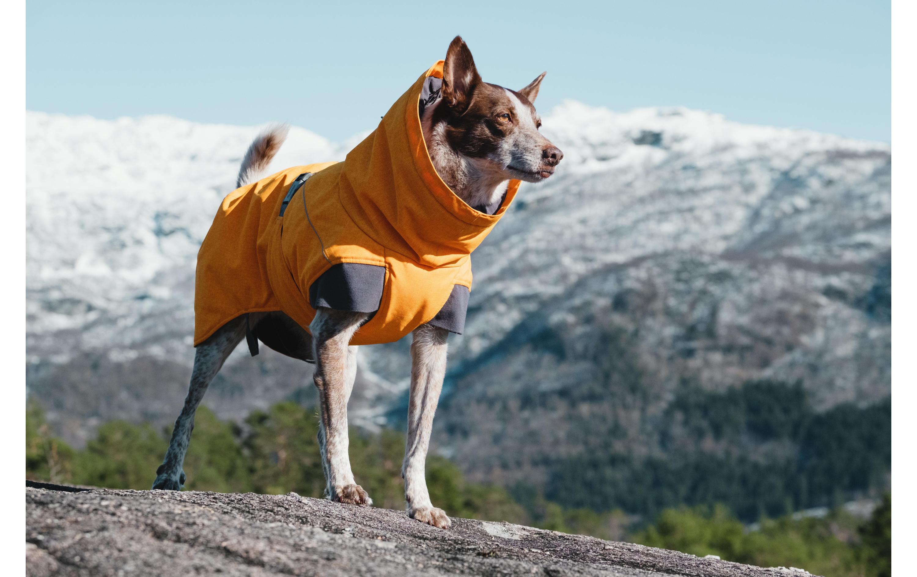 Wintermantel Expedition Parka dunkelgrau, 60Wintermantel für Hunde