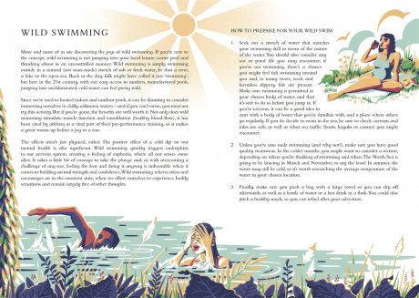 The Wild Handbook: Seasonal activities to help you reconnect with nature (Hardback)
