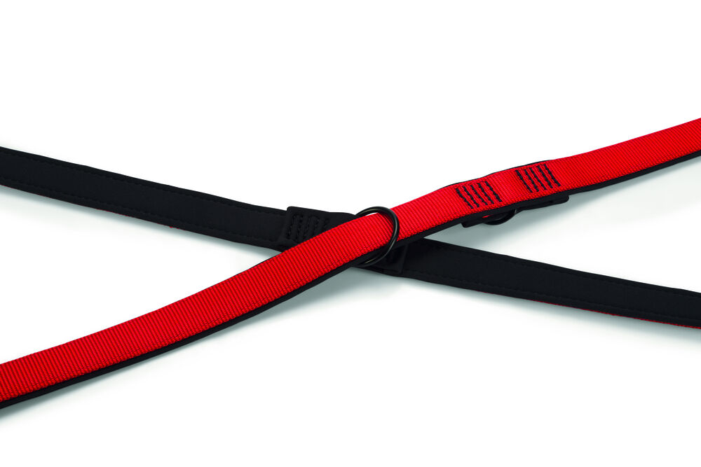 Beeztees Premium Parinca - Dressuurlijn - Trainingslijn Hond - rood - 200 cm