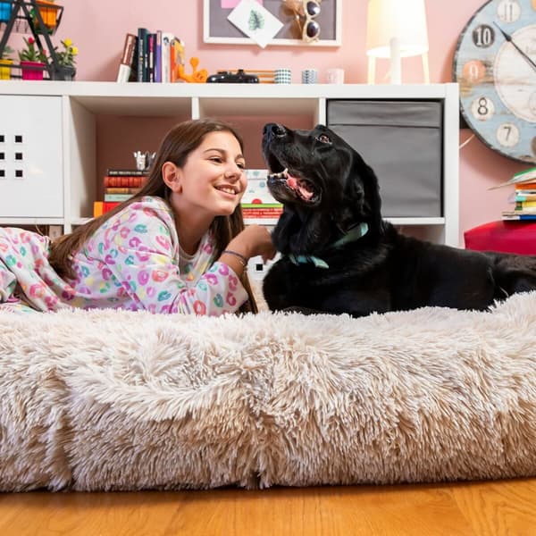 Hundeseng for mennesker | Human Dog Bed XXL InnovaGoods Beige