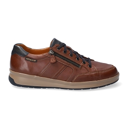 lisandro  RANDY 6178/ 6145  CHESTNUT