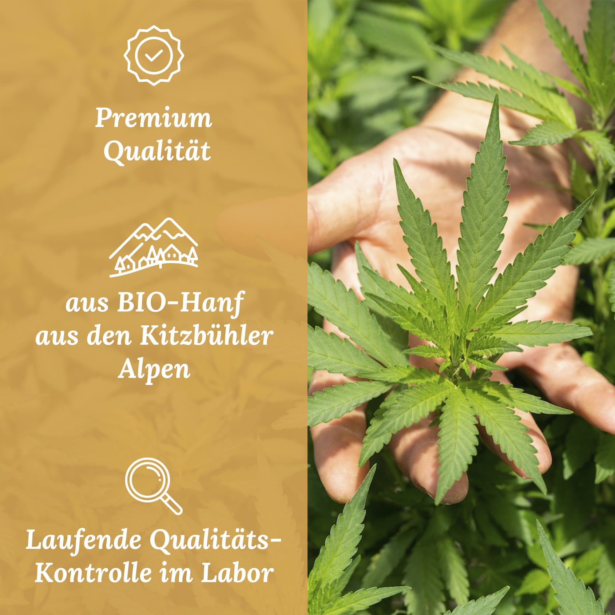 NaturBlut pflanzliche CBD Gesichtscreme