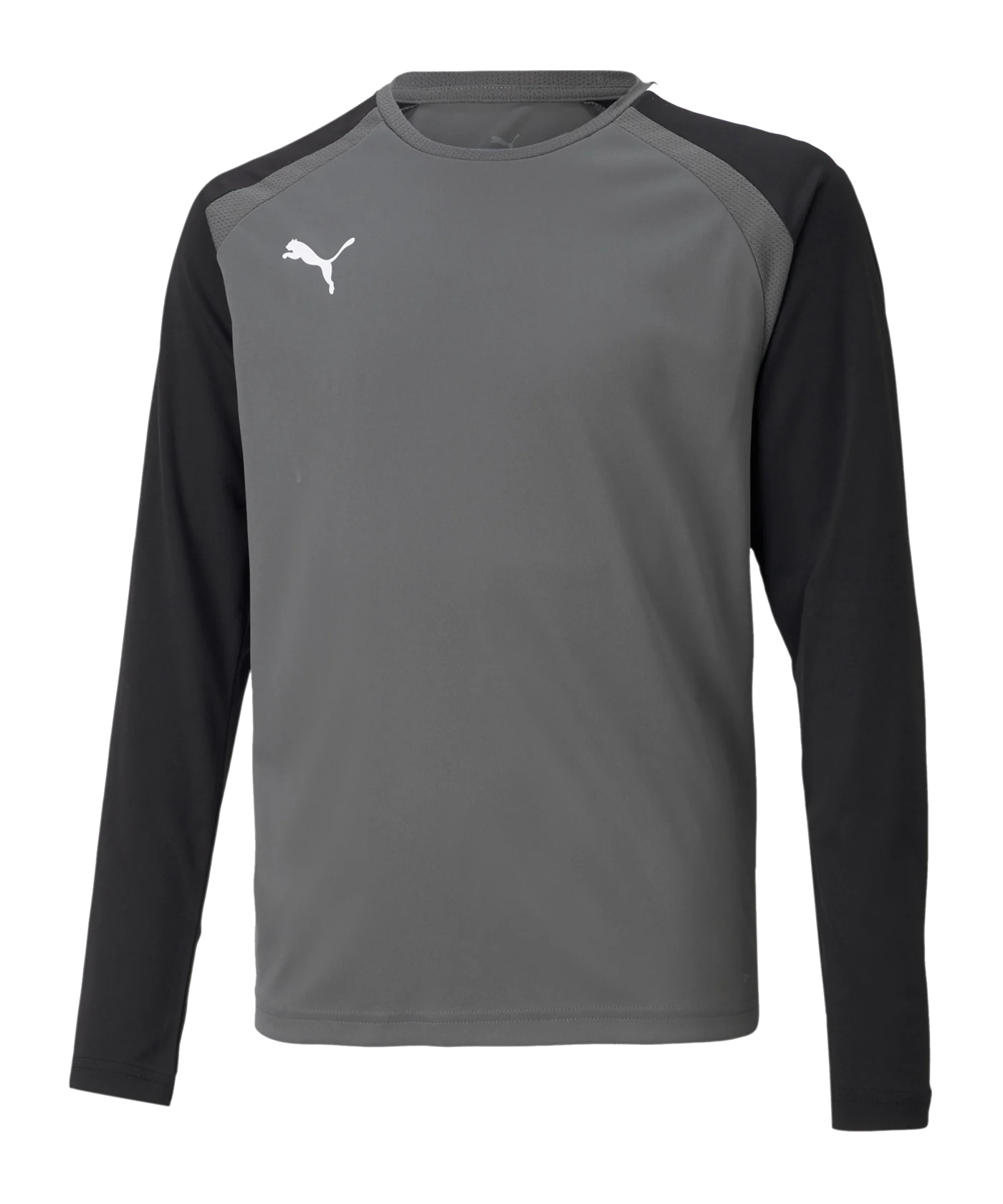 PUMA teamPACER Torwarttrikot langarm Kids F43