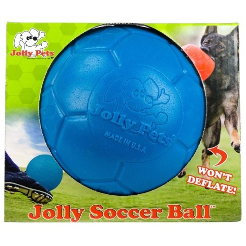 Bola de borracha azul para cães