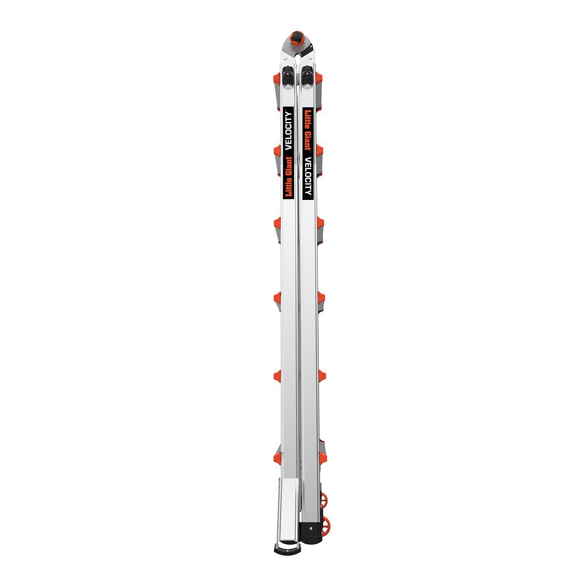 Little Giant Velocity telescoopladder - 4x6 sporten - 48414103