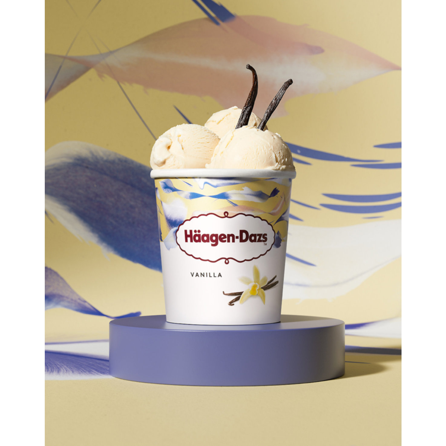 Häagen-Dazs Glace Vanilla Pint