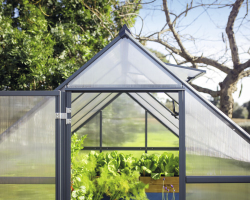 Palram Kas – Canopia Mythos 6x10 Dubbelwandige Polycarbonaat Panelen 4 mm 185 x 306 cm RAL 7012 Grijs