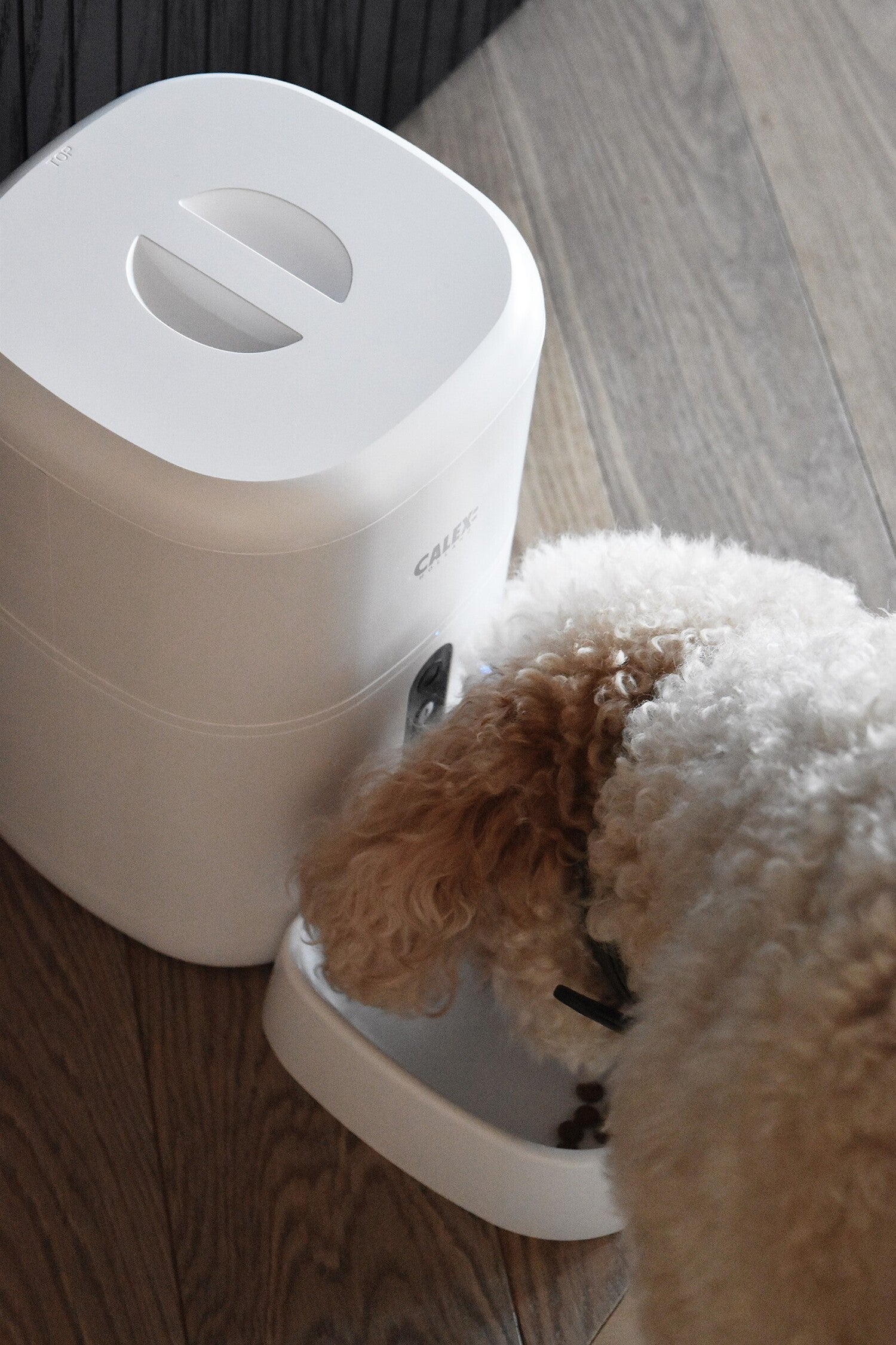 Calex Smart voerautomaat met HD Camera wit 20 x 30 x 36 cm