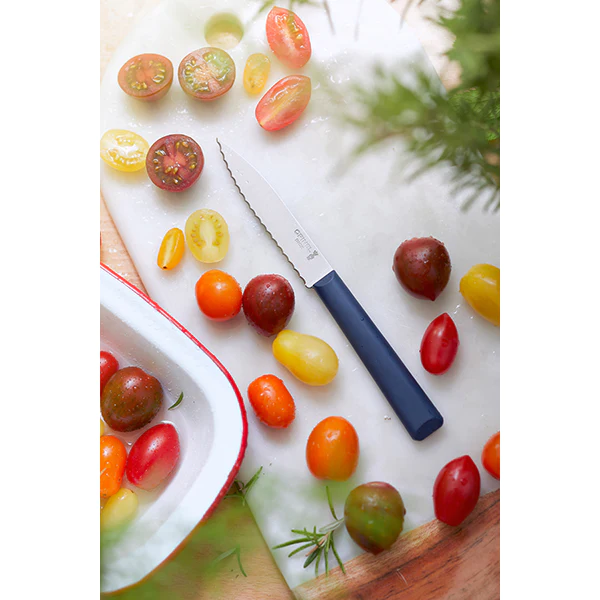 Couteau Cranté N°313 Essentiels Bleu 10 cm inox Opinel