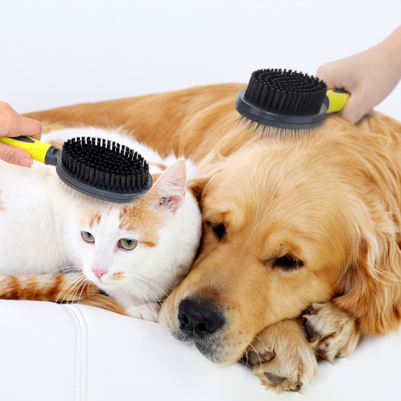 nobleza Doppelseitiger Haustierbürste für Hunde & Katzen - Sanfte Fellpflege S