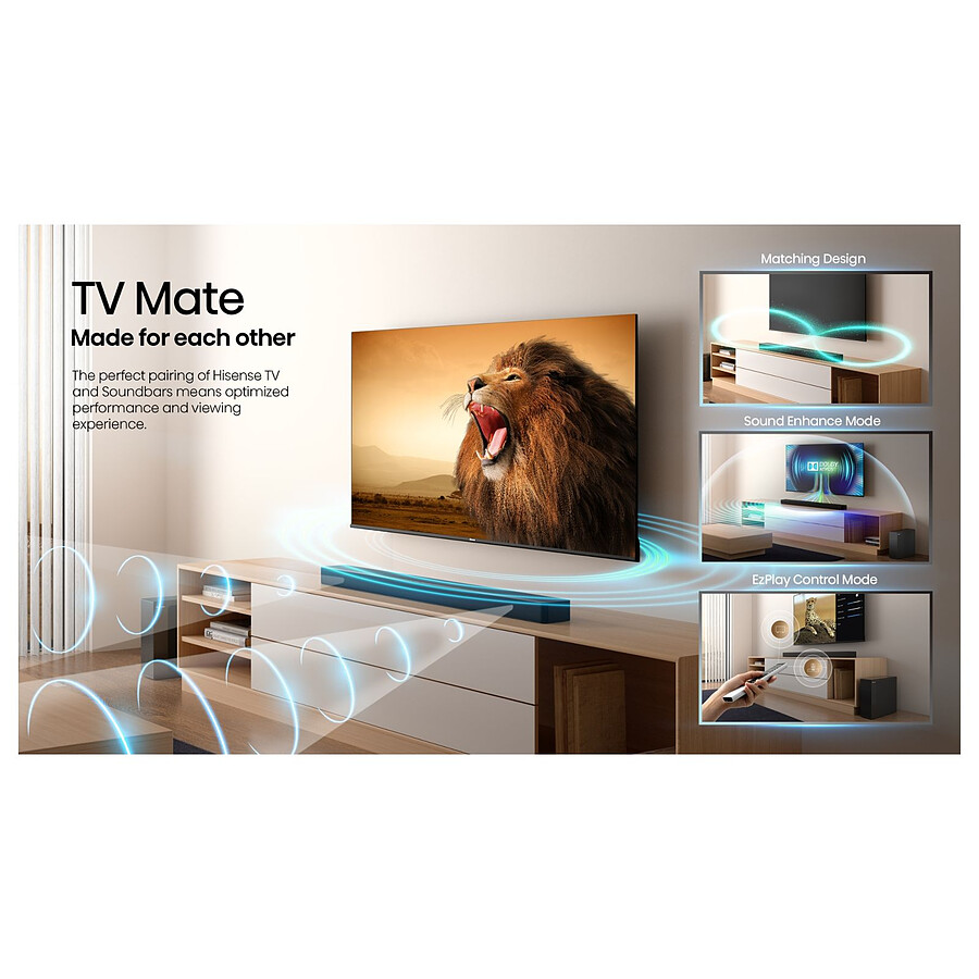 Hisense HS2100
