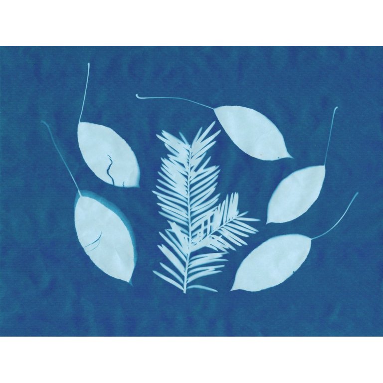 Solar-Fotopapier