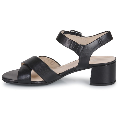 Gabor - 2291327 Negro