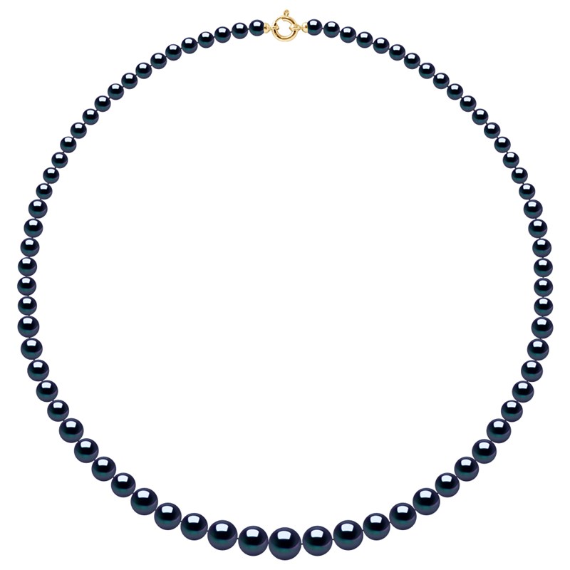 Collier Rang 