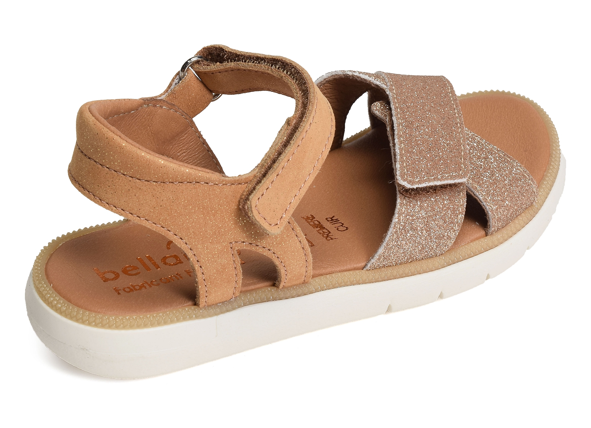 Evi camel