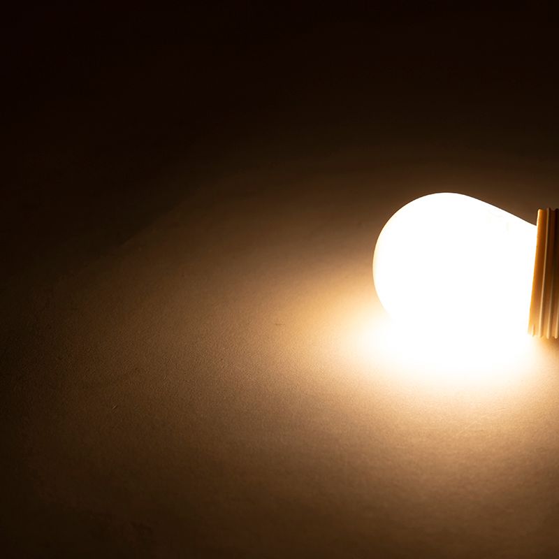Smart E27 dimbare LED lamp P45 4,5W 400 lm 2200-4000K