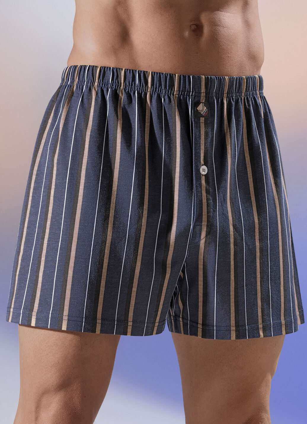 Viererpack Boxershorts mit Streifendessin