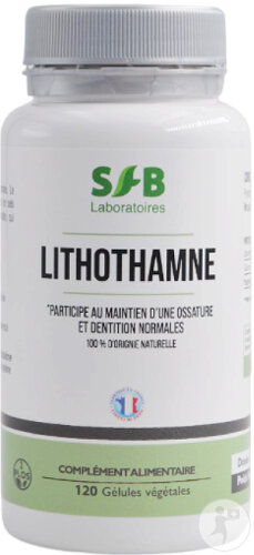 SFB Laboratoire Lithothamne Ossature Et Dentition Normales 120 Gélules