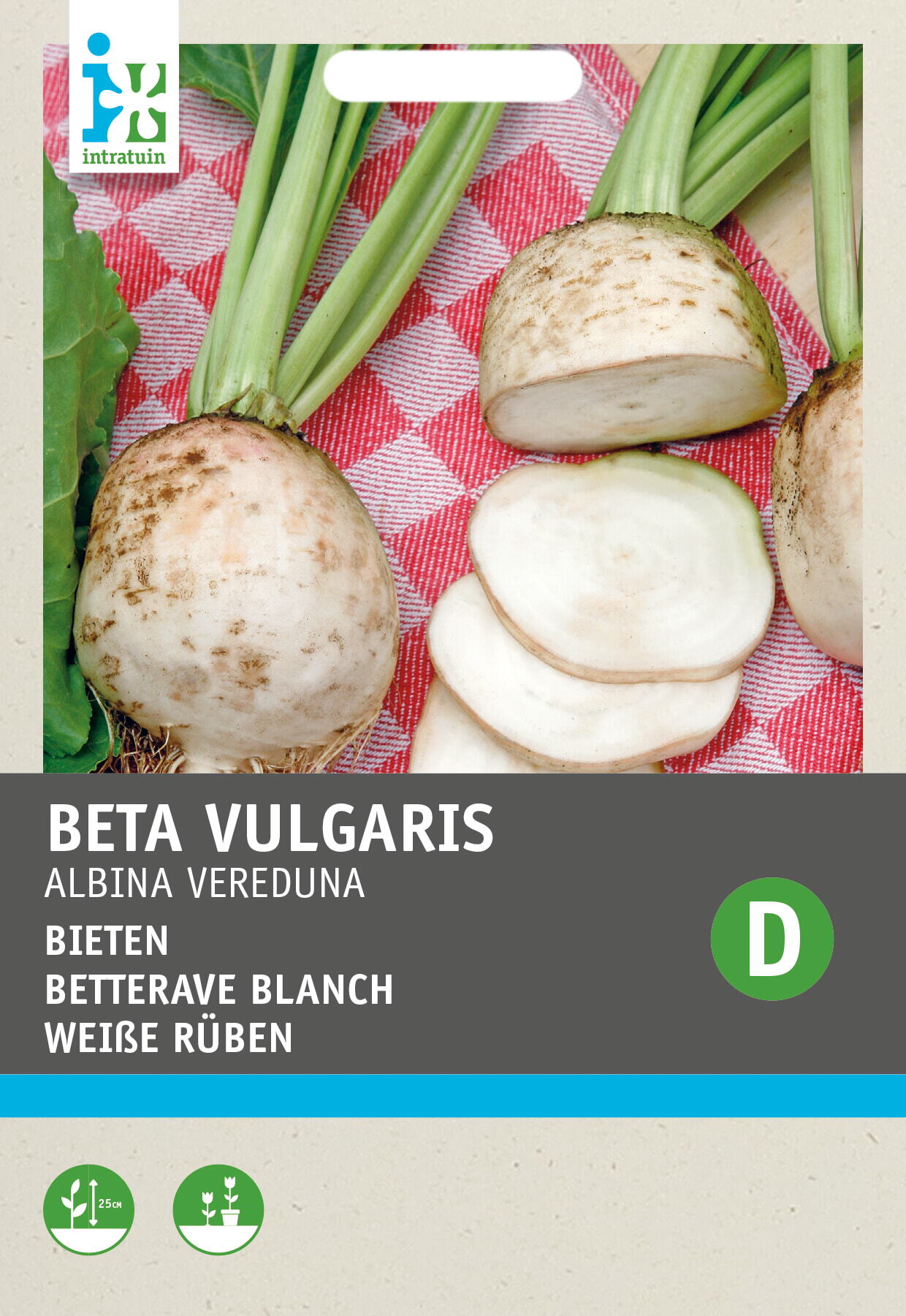 Intratuin groentezaad Bieten wit (Beta vulgaris 'Albina Vereduna')