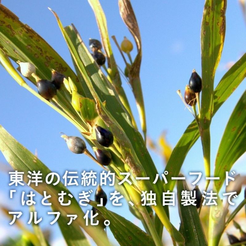 FINE JAPAN - Biologische Coix-zaadextracttabletten