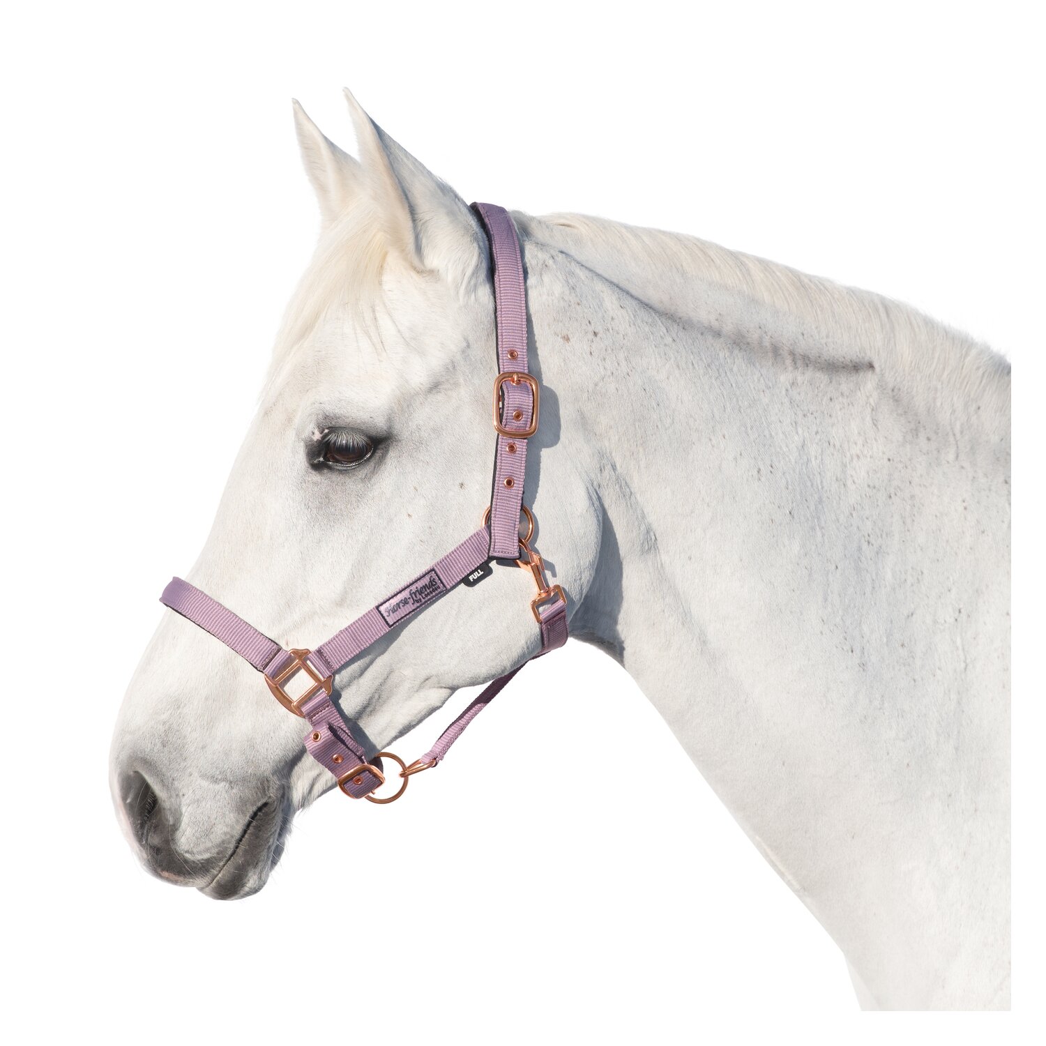Horse-friends Halfter Lima  - smokeberry